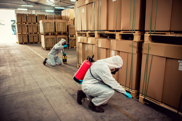 Best Cockroach Control Services  in Stevensville, MD