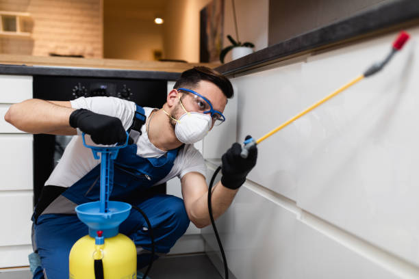 Best Best Pest Control Companies  in Stevensville, MD