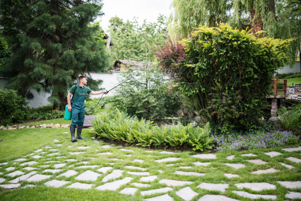 Best Residential Pest Control  in Stevensville, MD