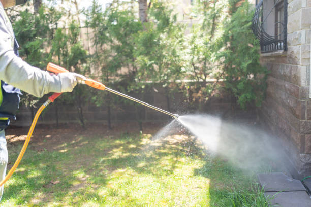 Best Mosquito Control Services  in Stevensville, MD