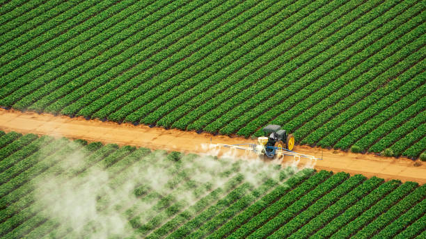 Best Commercial Pest Control Services  in Stevensville, MD