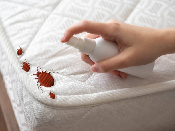 Best Pest Prevention Services  in Stevensville, MD